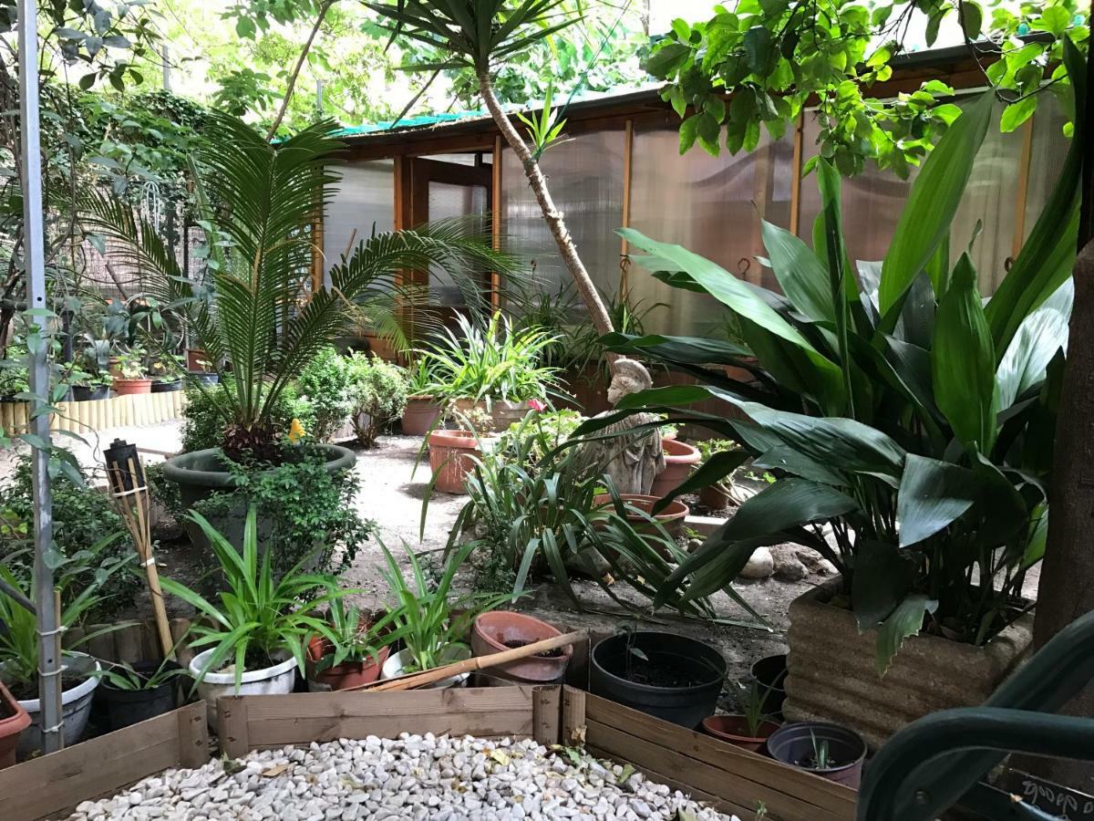 La Casa Di Elena Hotel โรม ภายนอก รูปภาพ